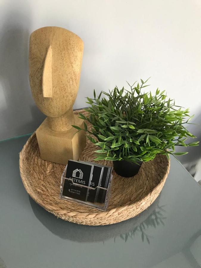 Artemis Apartments Diakopto Zewnętrze zdjęcie