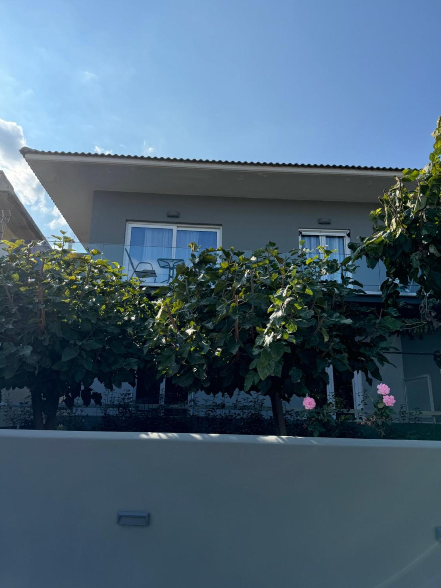 Artemis Apartments Diakopto Zewnętrze zdjęcie